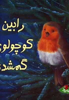 رابین کوچولوی گمشده